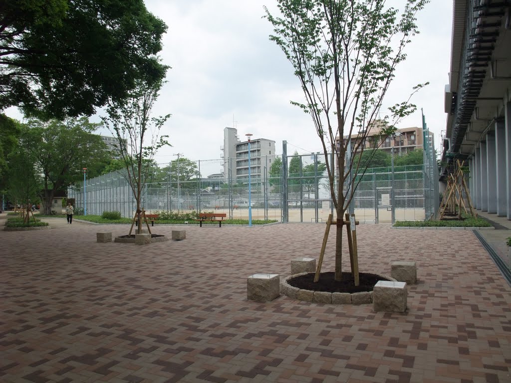 Art21  瑞光寺公園