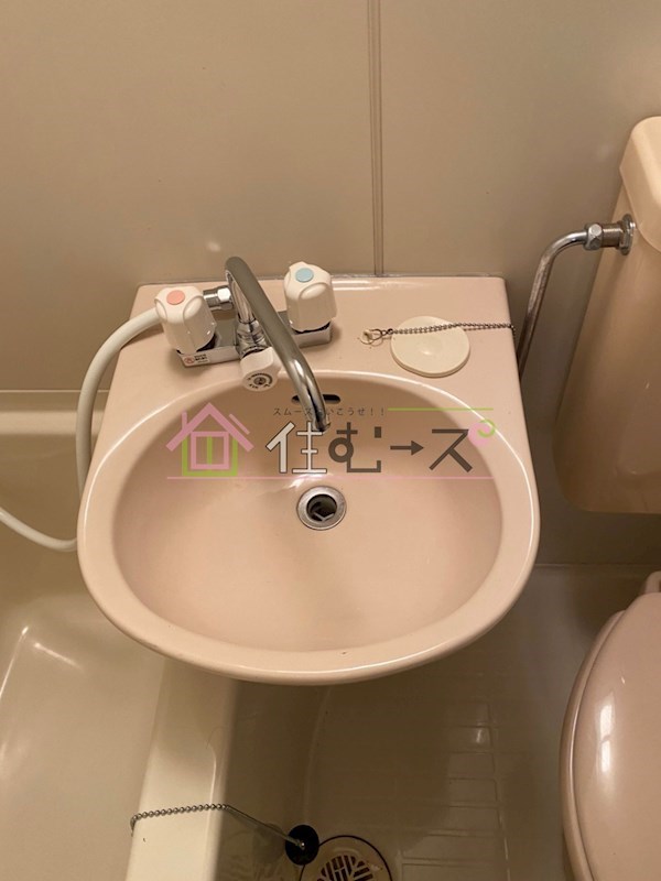 コスモカラホリLOFT 洗面所