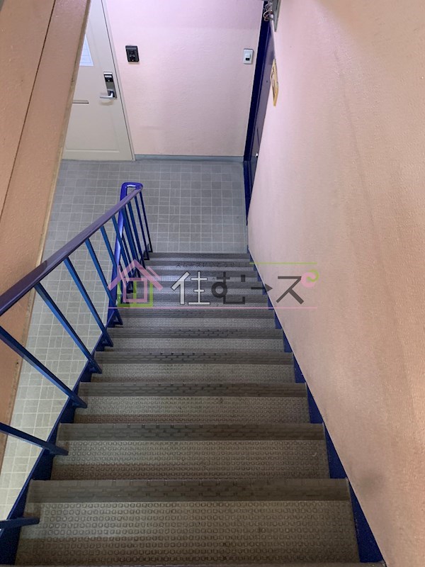 カーザダココ その他