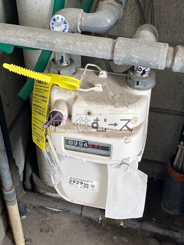 グローバル その他