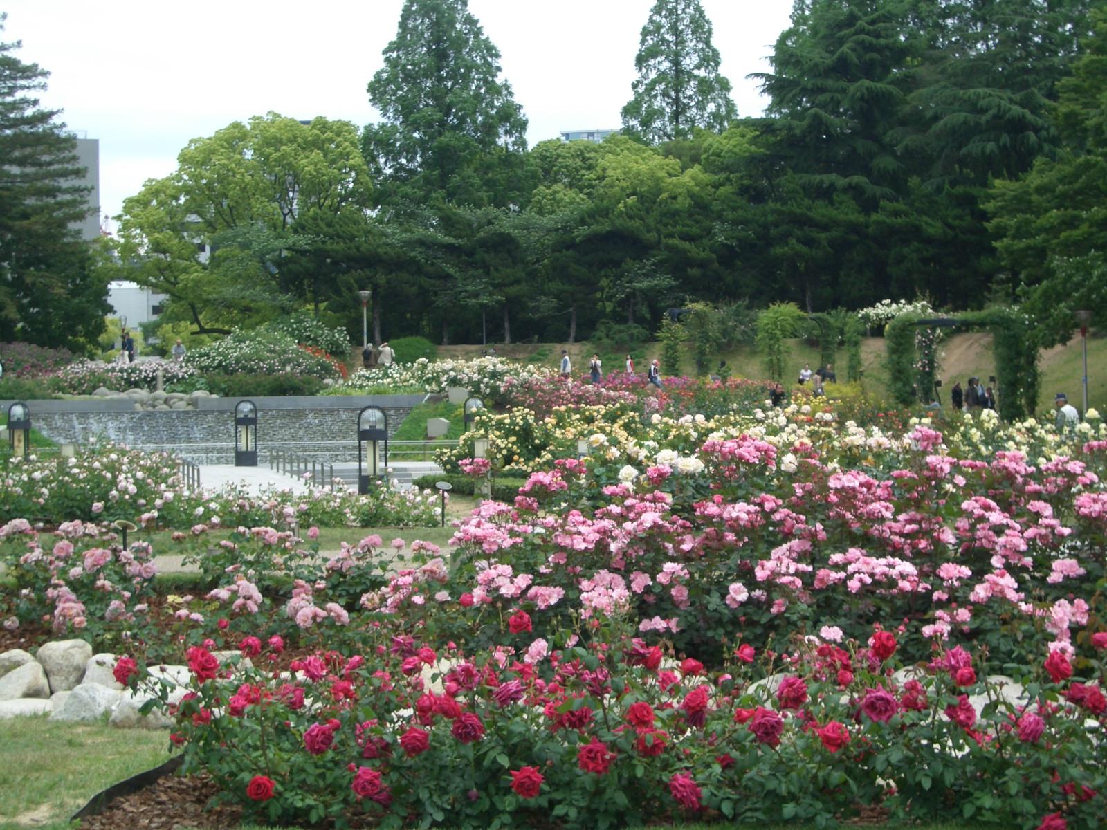 エスリード江戸堀 靱公園