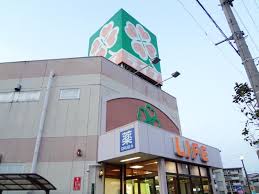 サンロイヤル柴島パート3 ﾗｲﾌ 江口店