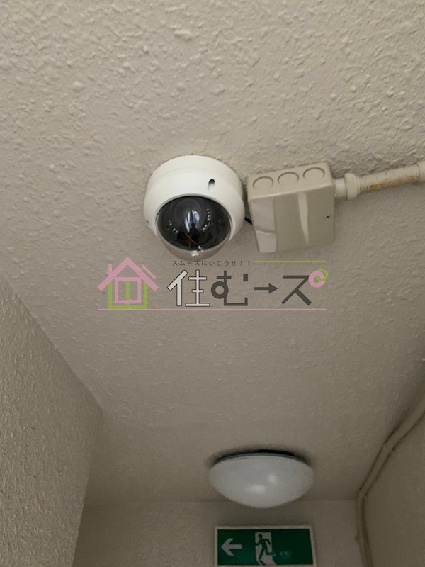 グリーンハウス セキュリティ
