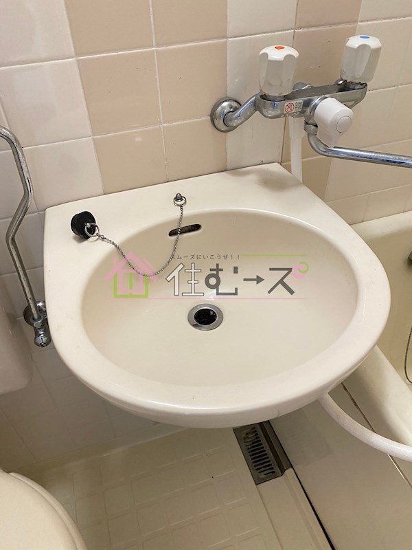 グリーンパークハイツ 洗面所