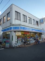 HOUSE SHINGAI ﾛｰｿﾝ 大正平尾四丁目店