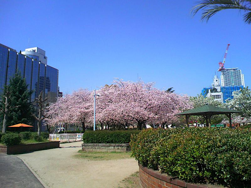 いずみコーポ 中之島公園
