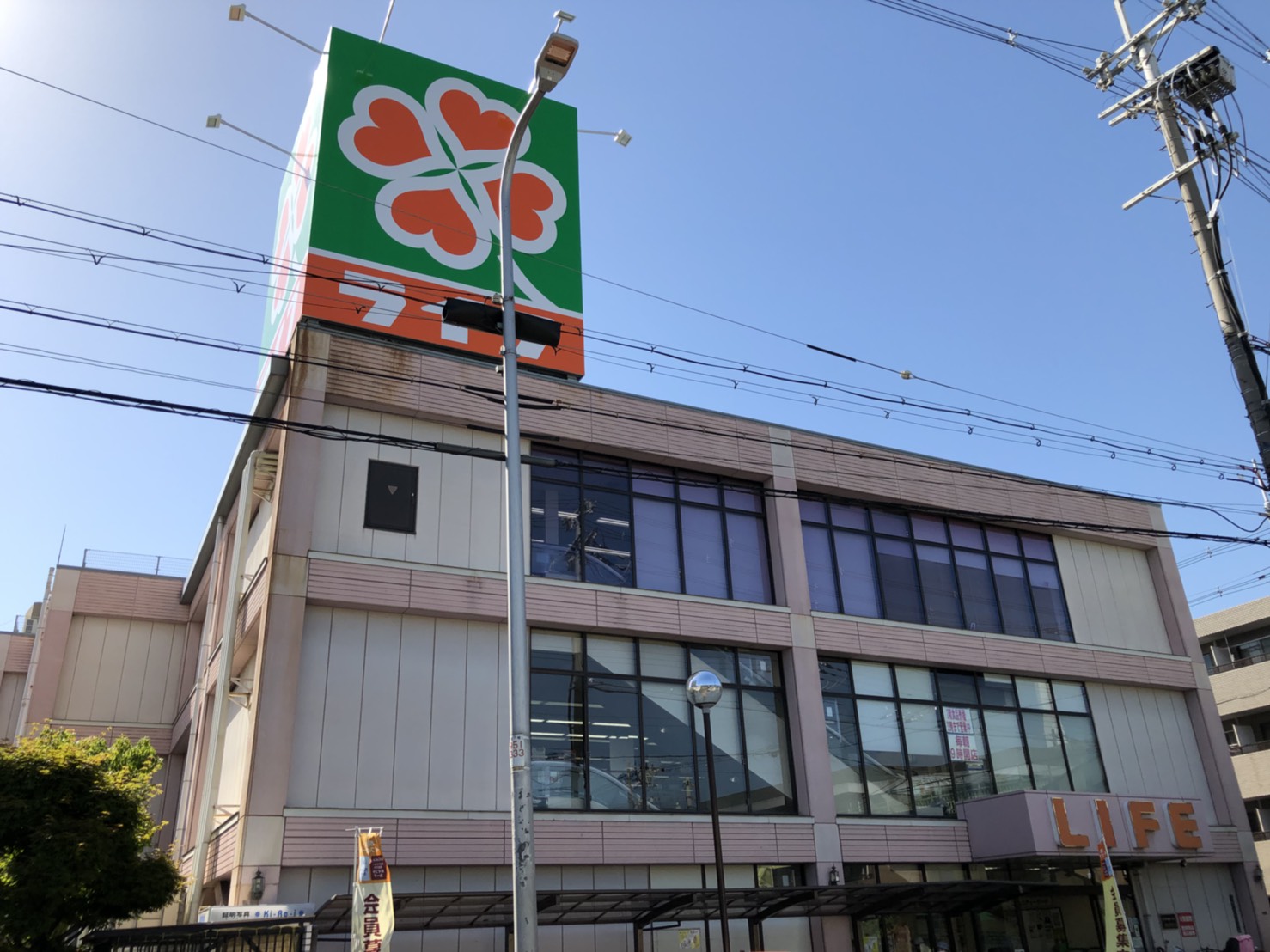 ORG003 ライフ江口店