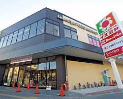 ﾃﾞｲﾘｰｶﾅｰﾄｲｽﾞﾐﾔ 花園店