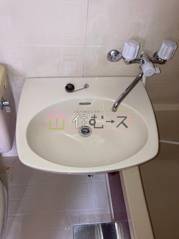 グリーンハイム 洗面所