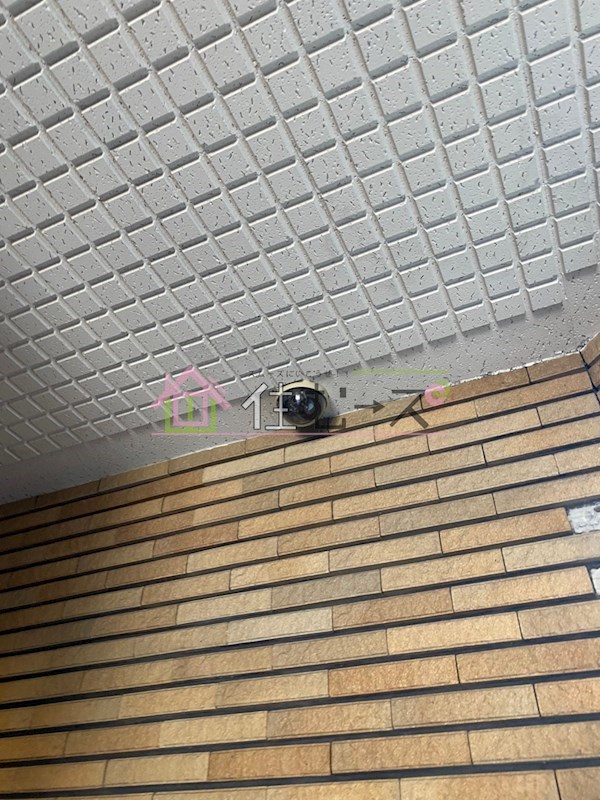 ICHIEI  その他