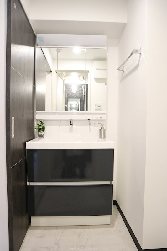 グランパシフィック花園Luxe(ﾘｭｸｽ) 洗面所