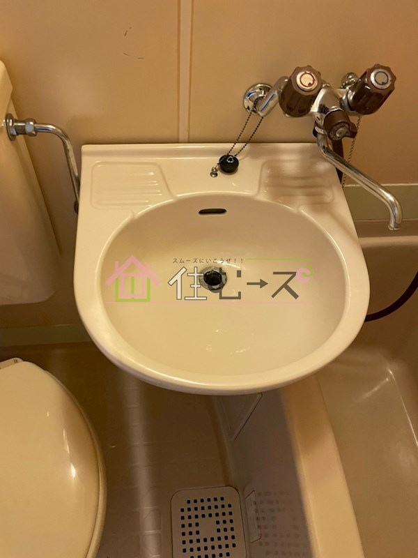 ルネッサンスベニス 洗面所