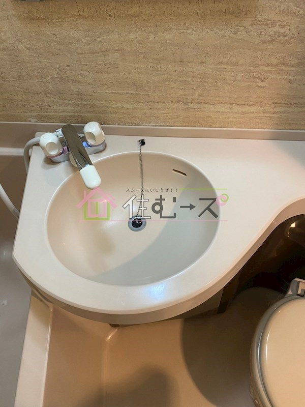 アベニュー心斎橋 洗面所