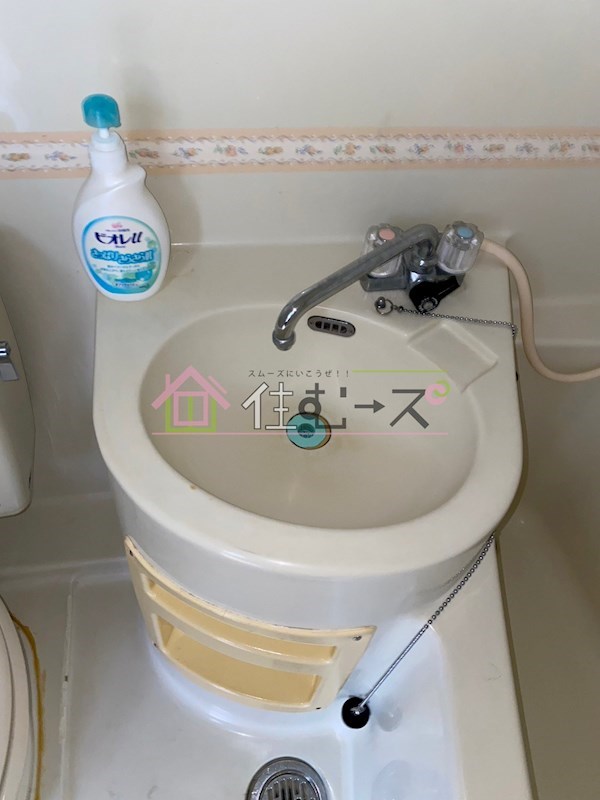 レディースグリーンガーデン 洗面所