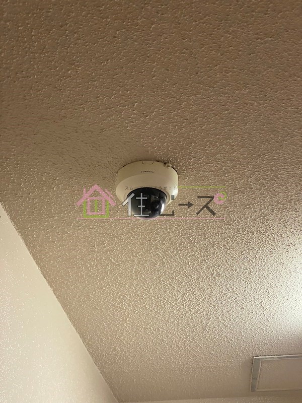 中之島ロイヤルハイツ その他